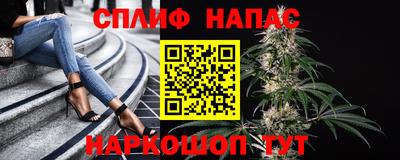 сатива Малоярославец