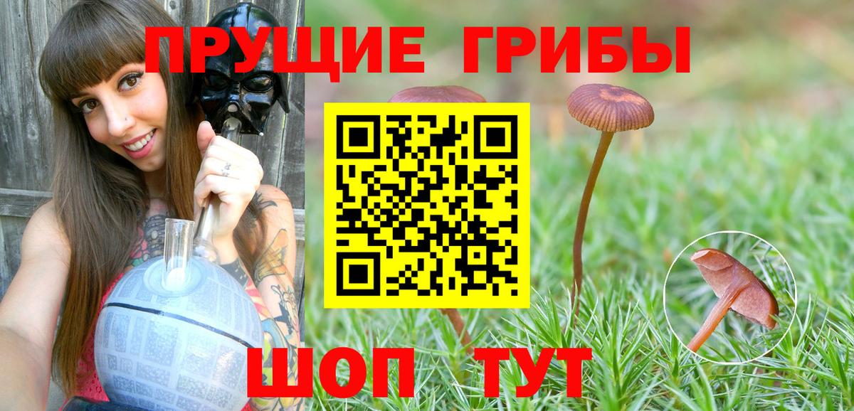 Галлюциногенные грибы MAGIC MUSHROOMS Ростов Великий